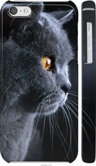 Чехол на iPhone 5c Красивый кот "3038c-23-7105"