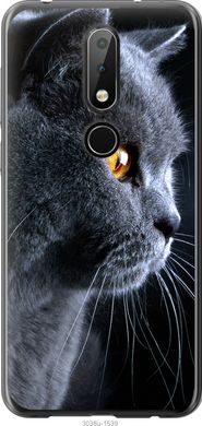 Чехол на Nokia 6.1 Plus Красивый кот "3038u-1539-7105"