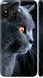 Чехол на Xiaomi Redmi 6 Pro Красивый кот "3038c-1595-7105"