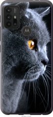 Чехол на Motorola Moto G20 Красивый кот "3038u-2461-7105"