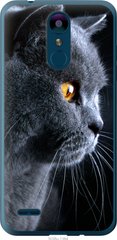 Чехол на LG K8 2018 Красивый кот "3038u-1384-7105"