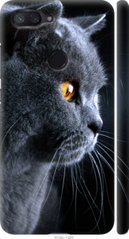 Чехол на Xiaomi Mi 8 Lite Красивый кот "3038c-1585-7105"