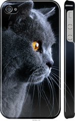 Чехол на iPhone 4s Красивый кот "3038c-12-7105"