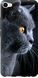 Чехол на M3x Красивый кот "3038u-633-7105"