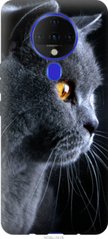 Чехол на Tecno Spark 6 KE7 Красивый кот "3038u-2418-7105"