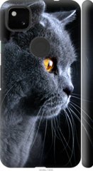 Чехол на Pixel 4A Красивый кот "3038c-1935-7105"
