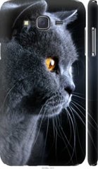 Чехол на Samsung Galaxy J7 J700H Красивый кот "3038c-101-7105"