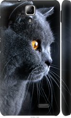 Чехол на Lenovo A536 Красивый кот "3038c-149-7105"