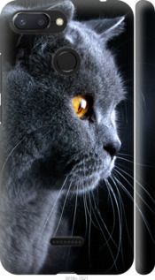 Чехол на Xiaomi Redmi 6 Красивый кот "3038c-1521-7105"
