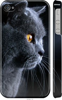 Чехол на Apple iPhone 4 Красивый кот "3038c-15-7105"