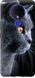 Чехол на Tecno Spark 6 KE7 Красивый кот "3038u-2418-7105"
