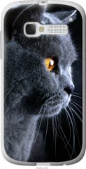 Чехол на Alcatel One Touch Pop C5 5036D Красивый кот "3038u-324-7105"