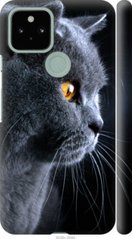 Чехол на Pixel 5 Красивый кот "3038c-2044-7105"