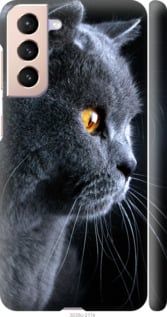Чехол на Samsung Galaxy S21 Красивый кот "3038c-2114-7105"