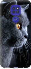 Чехол на Motorola G9 Play Красивый кот "3038u-2105-7105"