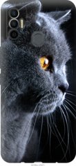 Чехол на Tecno Spark 7 KF6n Красивый кот "3038u-2421-7105"