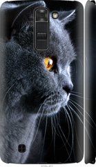 Чехол на LG K7 Красивый кот "3038c-451-7105"