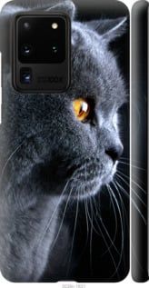 Чехол на Samsung Galaxy S20 Ultra Красивый кот "3038c-1831-7105"