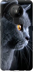 Чехол на Nokia 5.3 Красивый кот "3038u-2102-7105"