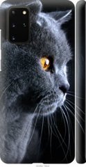 Чехол на Samsung Galaxy S20 Plus Красивый кот "3038c-1822-7105"