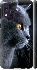 Чехол на Samsung Galaxy A40 2019 A405F Красивый кот "3038c-1672-7105"