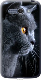 Чехол на Alcatel One Touch POP C9 Красивый кот "3038u-319-7105"