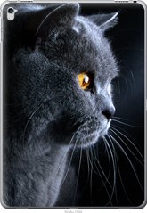 Чехол на Apple iPad Pro 12.9 2017 Красивый кот "3038u-1549-7105"