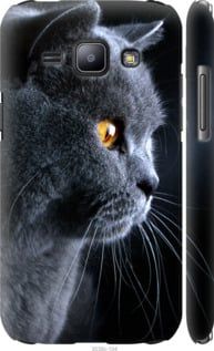 Чехол на Samsung Galaxy J1 J100H Красивый кот "3038c-104-7105"