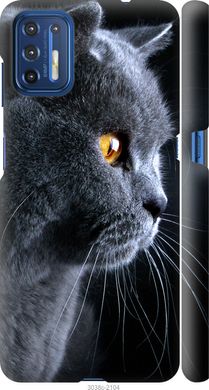 Чехол на Motorola G9 Plus Красивый кот "3038c-2104-7105"