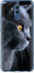 Чехол на Huawei Mate 20 Lite Красивый кот "3038u-1575-7105"