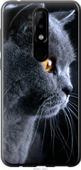 Чехол на Nokia 5.1 Plus Красивый кот "3038u-1543-7105"