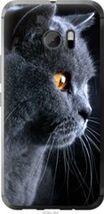 Чехол на HTC 10 Красивый кот "3038u-464-7105"