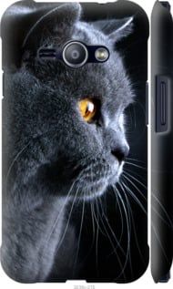 Чехол на Samsung Galaxy J1 Ace J110H Красивый кот "3038c-215-7105"