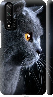 Чехол на Huawei Nova 5T Красивый кот "3038c-1833-7105"