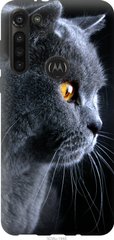 Чехол на Motorola G8 Power Красивый кот "3038u-1940-7105"
