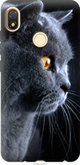 Чехол на Tecno Pop 3 BB2 Красивый кот "3038u-2443-7105"