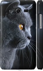 Чехол на Samsung Galaxy Core 2 G355 Красивый кот "3038c-75-7105"