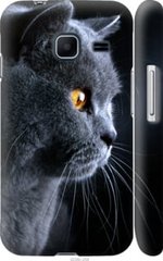 Чехол на Samsung Galaxy J1 Mini J105H Красивый кот "3038c-258-7105"