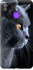 Чехол на Tecno Pop 4 BC2c Красивый кот "3038u-2427-7105"