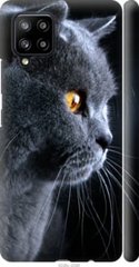 Чехол на Samsung Galaxy A42 A426B Красивый кот "3038c-2098-7105"
