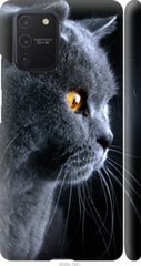 Чехол на Samsung Galaxy S10 Lite 2020 Красивый кот "3038c-1851-7105"