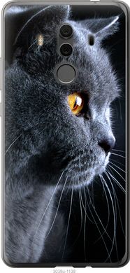 Чехол на Huawei Mate 10 Pro Красивый кот "3038u-1138-7105"