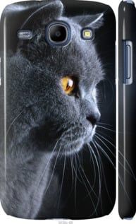 Чехол на Samsung Galaxy Core i8262 Красивый кот "3038c-88-7105"