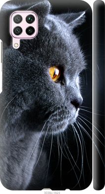 Чехол на Huawei Nova 6SE Красивый кот "3038c-1823-7105"