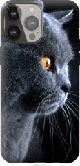 Чехол на Apple iPhone 13 Pro Max Красивый кот "3038u-2371-7105"