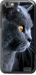 Чехол на HTC One V t320e Красивый кот "3038u-227-7105"