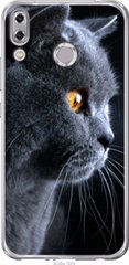 Чехол на Asus Zenfone 5 ZE620KL Красивый кот "3038u-1554-7105"