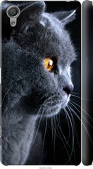 Чехол на Sony Xperia X F5122 Красивый кот "3038c-446-7105"