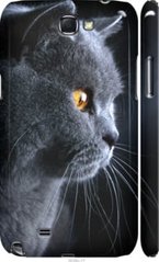 Чехол на Samsung Galaxy Note 2 N7100 Красивый кот "3038c-17-7105"