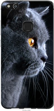 Чехол на Huawei P10 Lite Красивый кот "3038u-896-7105"
